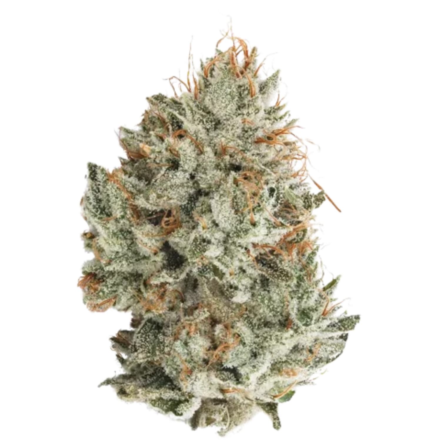 Gorilla Glue #4